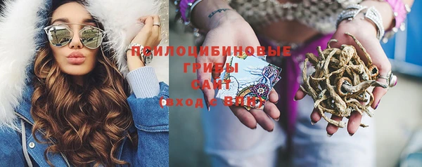 ПСИЛОЦИБИНОВЫЕ ГРИБЫ Беломорск