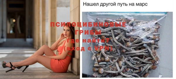 первитин Богородицк