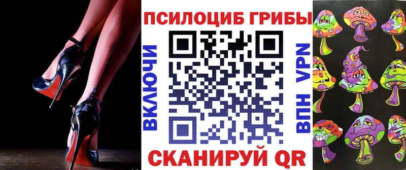 Галлюциногенные грибы Psilocybe купить Бирск